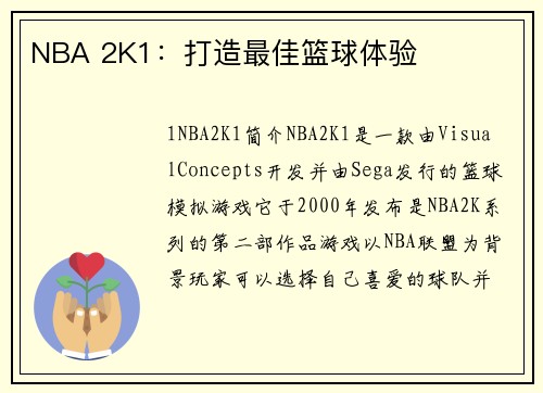 NBA 2K1：打造最佳篮球体验
